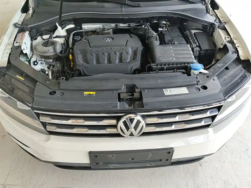 Volkswagen Tiguan L 2019 330TSI Auto 2WD Trend Edition China V фото 20