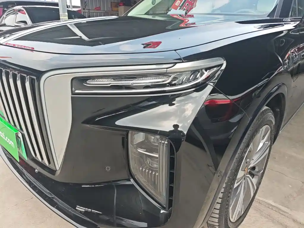 Фото 24 - Hongqi E-HS9