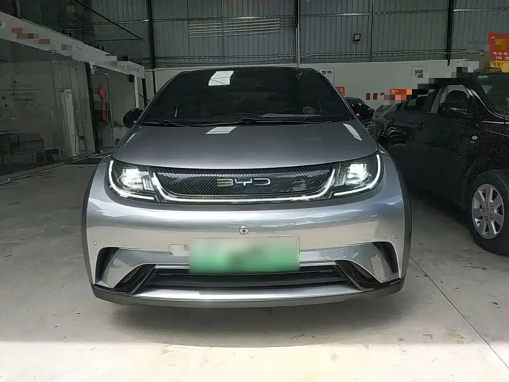 Фото 3 - BYD Dolphin