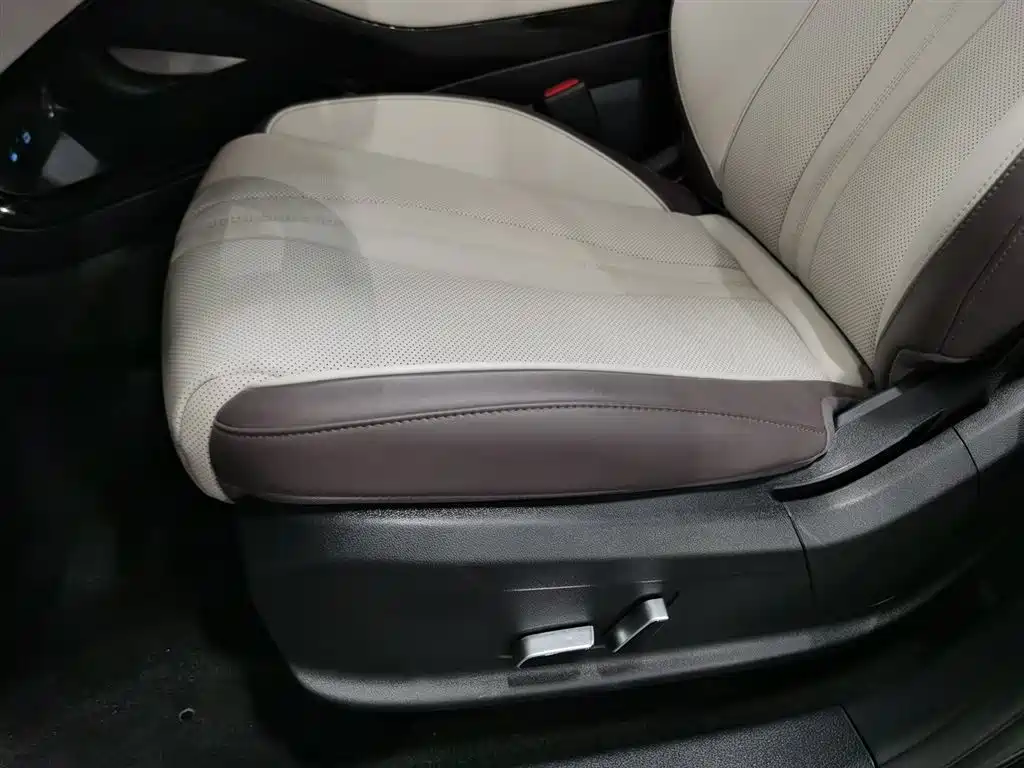BYD Song PLUS PHEV 2025 EV 520km Premium фото 20