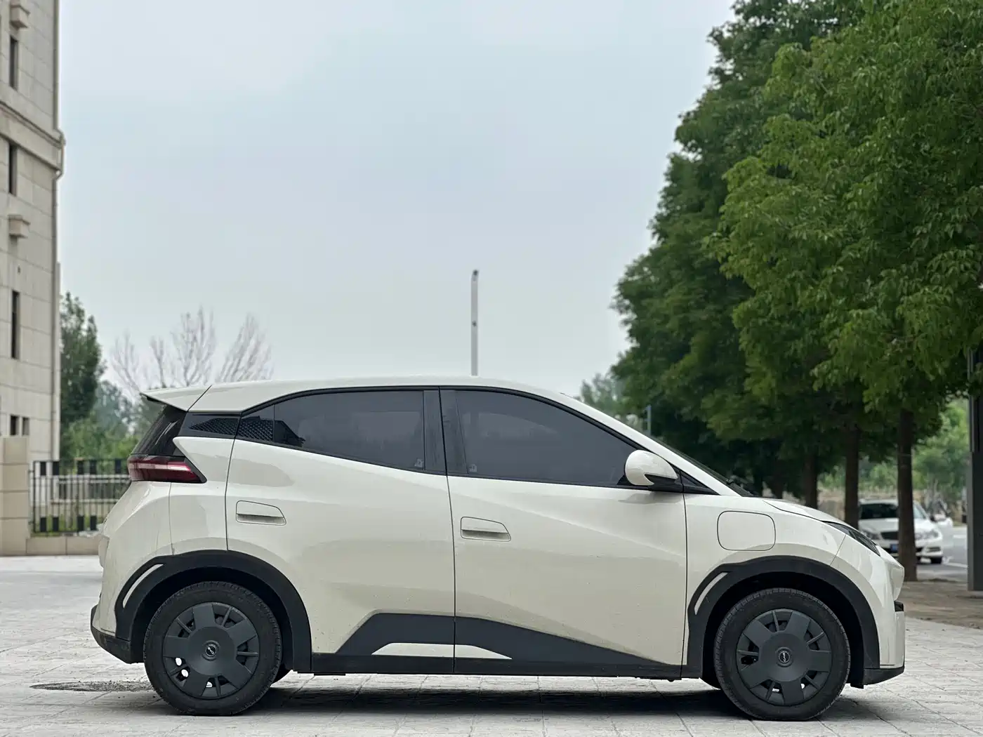BYD Seagull 2024 Glory Edition 305km Vitality Edition фото 9