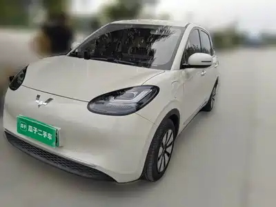 Wuling Bingo