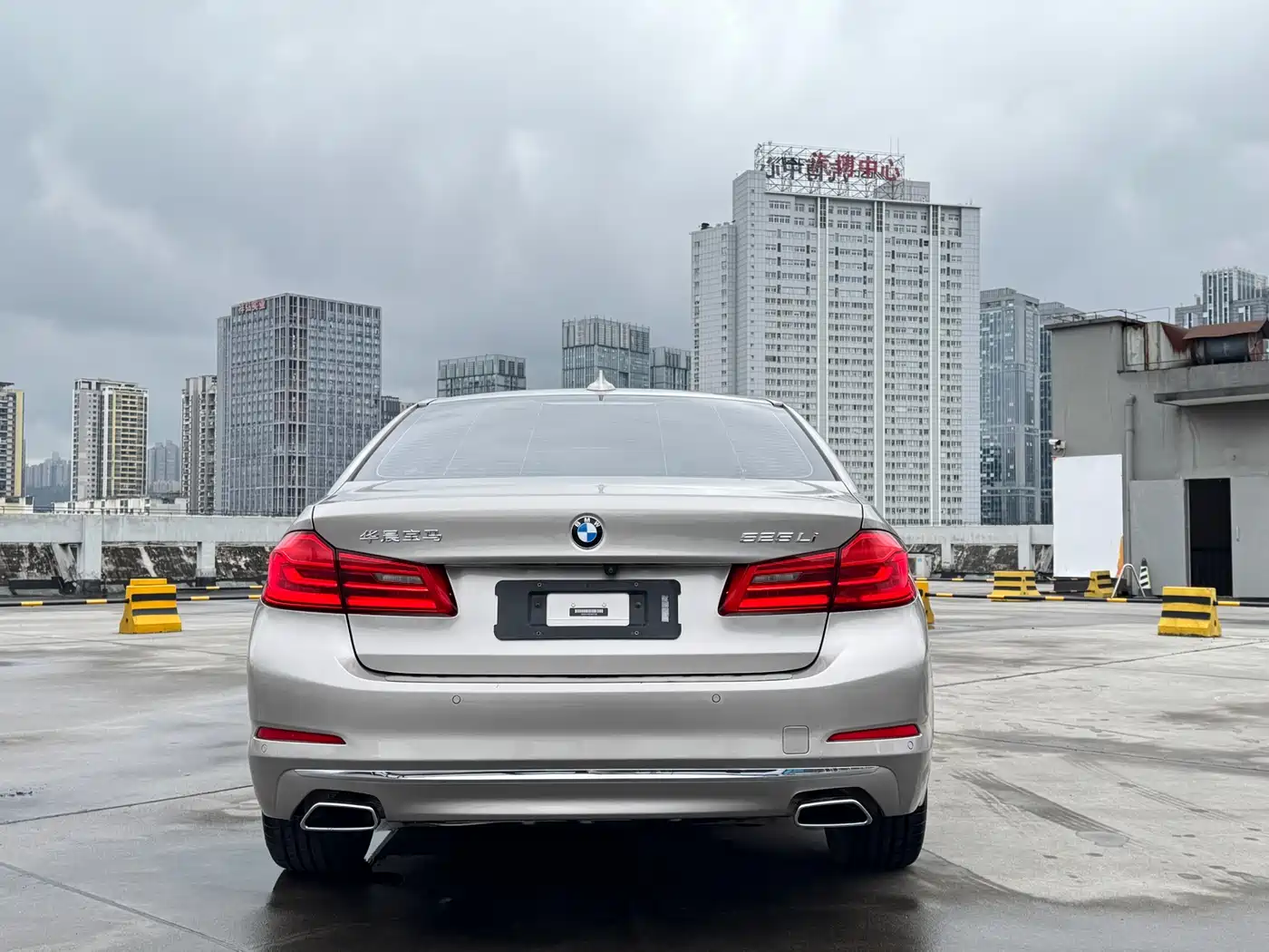 BMW 5 Series 2020 525Li Luxury Package фото 15