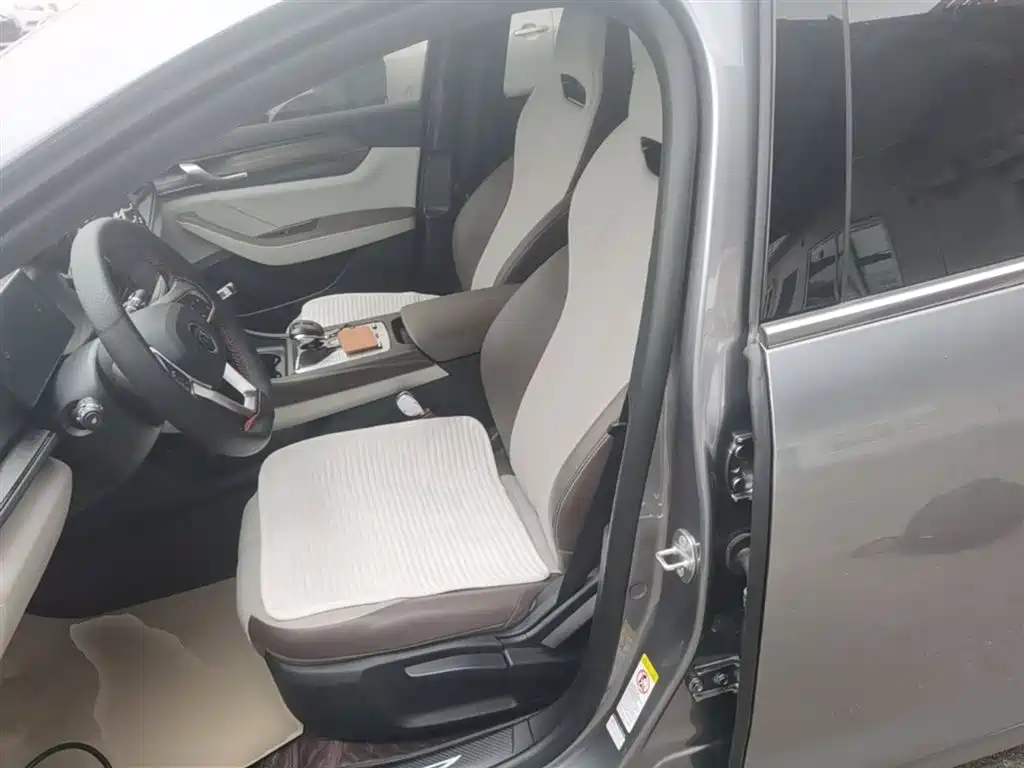 BYD Qin PLUS 2024 Glory Edition DM-i 55KM Leading фото 15
