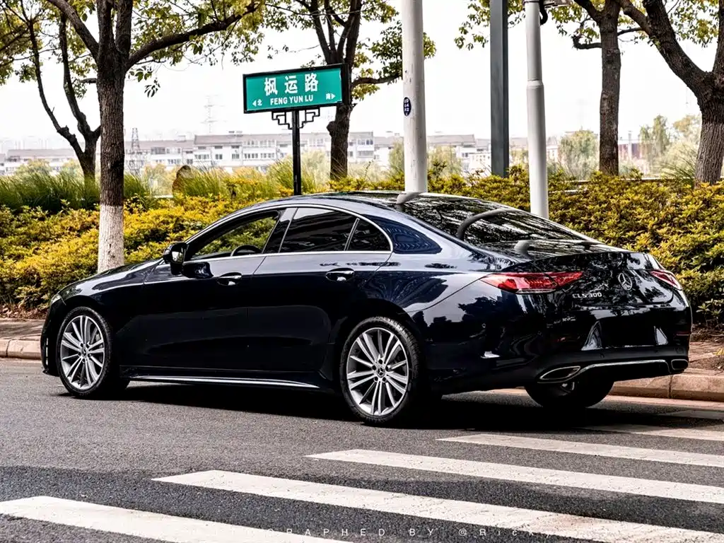 Mercedes-Benz CLS 2018 CLS 300 Luxury фото 11