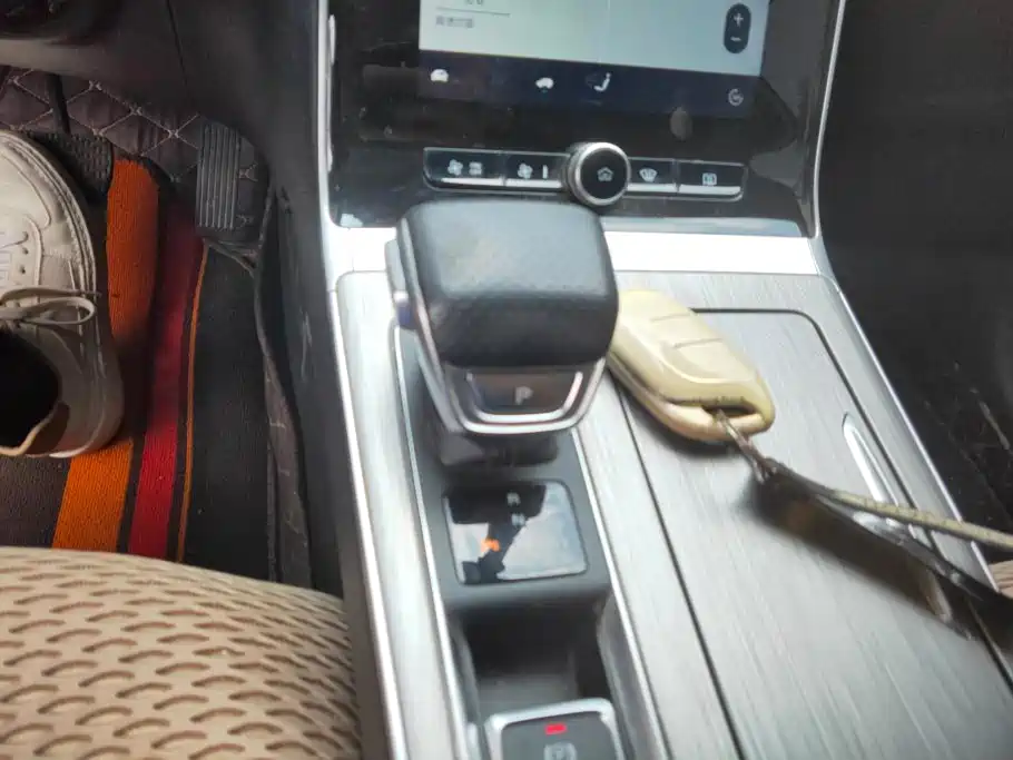 Roewe RX5 New Energy 2021 2020 ePLUS Guochao Ronglin Luxury Edition