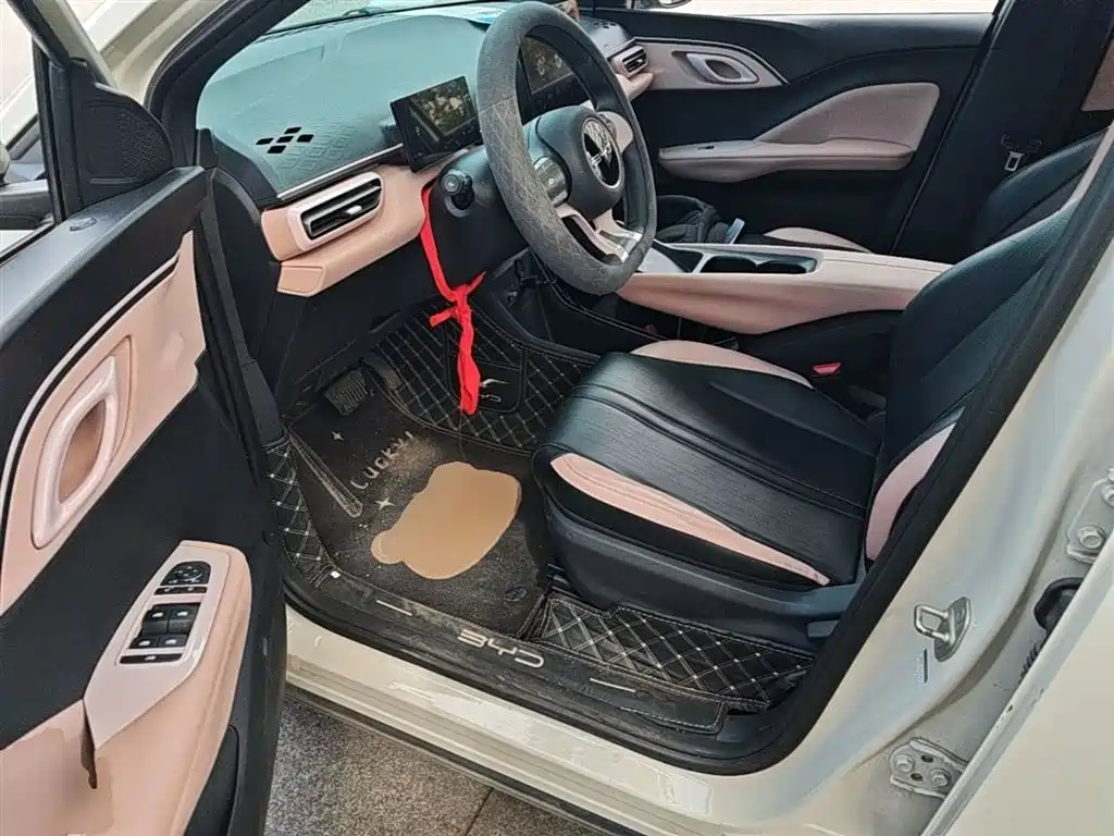 BYD Seagull 2024 Glory Edition 305km Vitality Edition фото 15