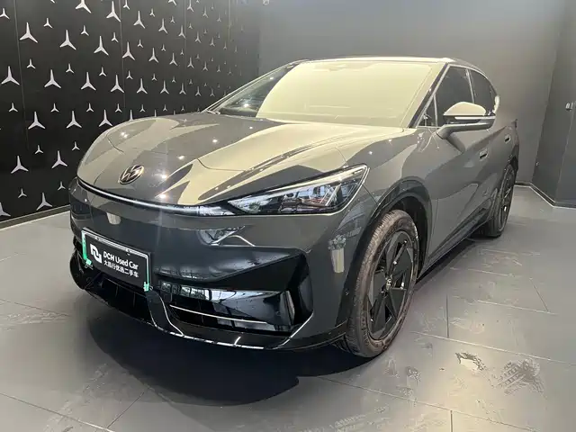 VOLKSWAGEN WITH THE CROWD 06