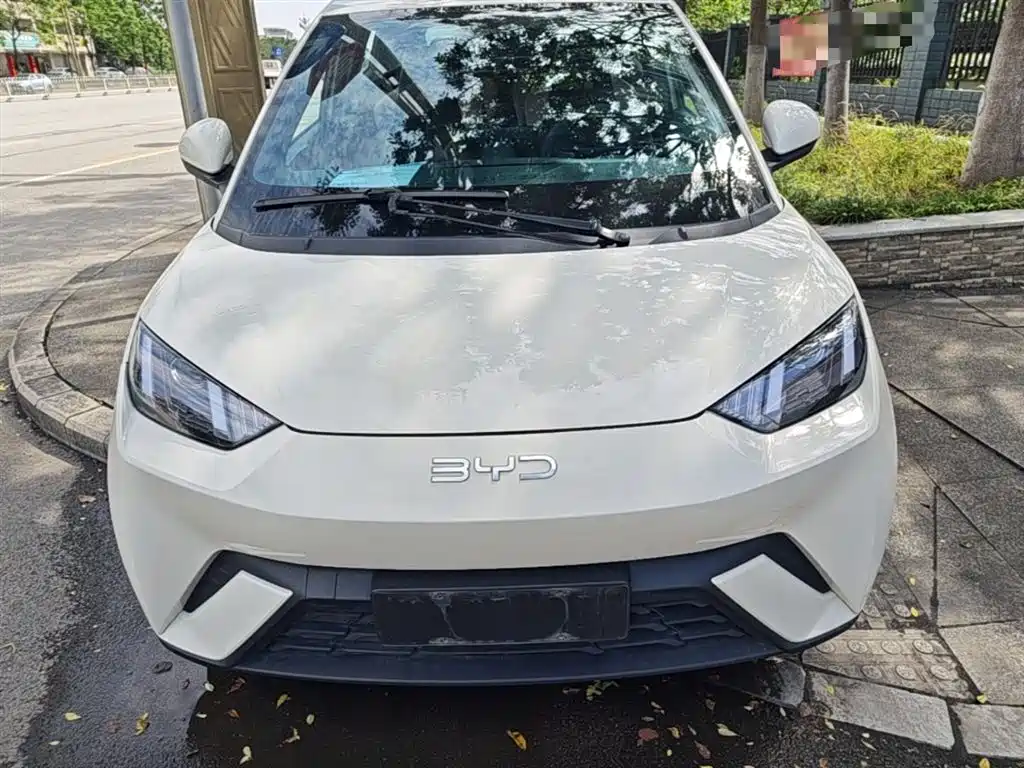 BYD Seagull 2024 Glory Edition 305km Vitality Edition фото 3