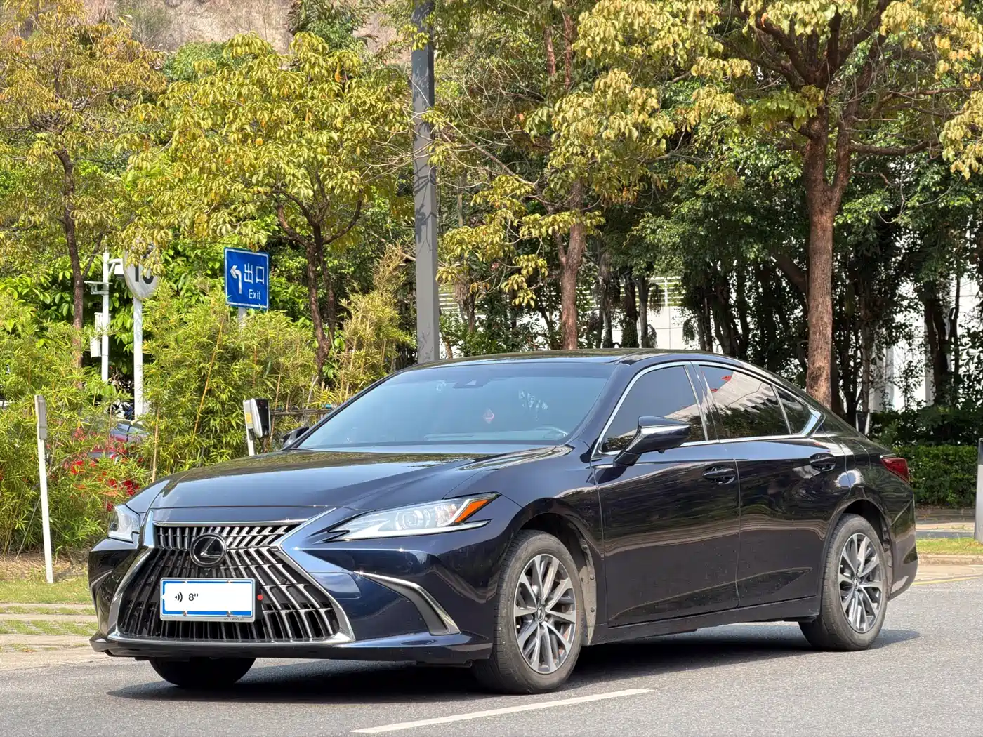 Lexus ES 2023 200 Excellence Edition