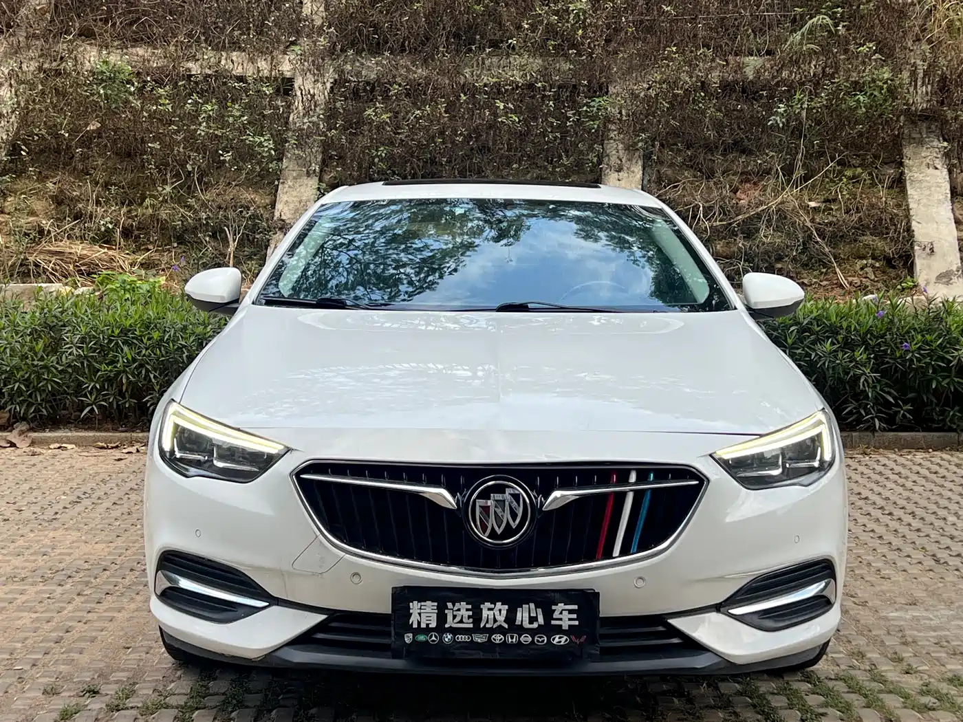 Buick Regal 2019 20T Luxury China VI фото 2