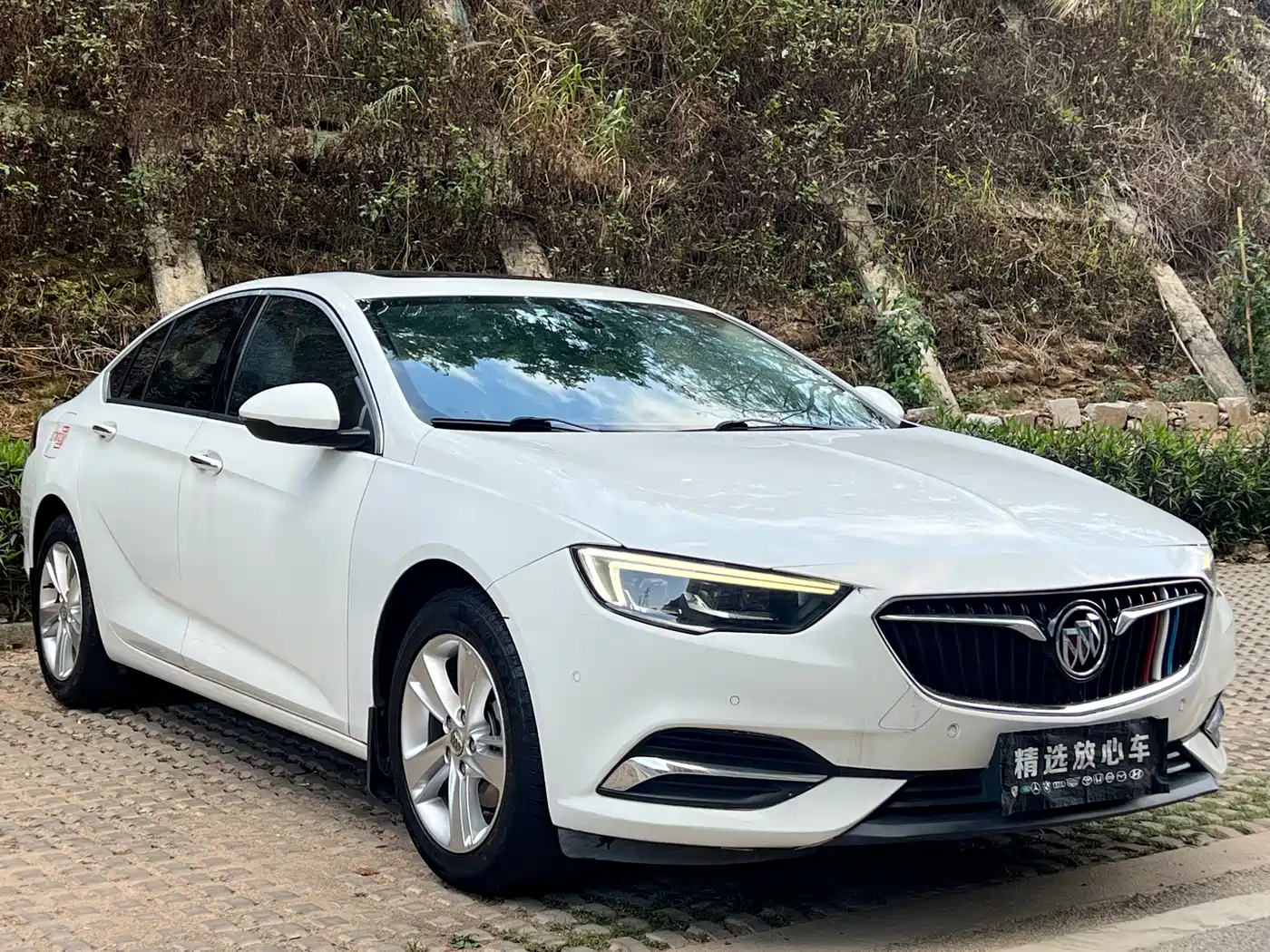 Buick Regal 2019 20T Luxury China VI фото 3