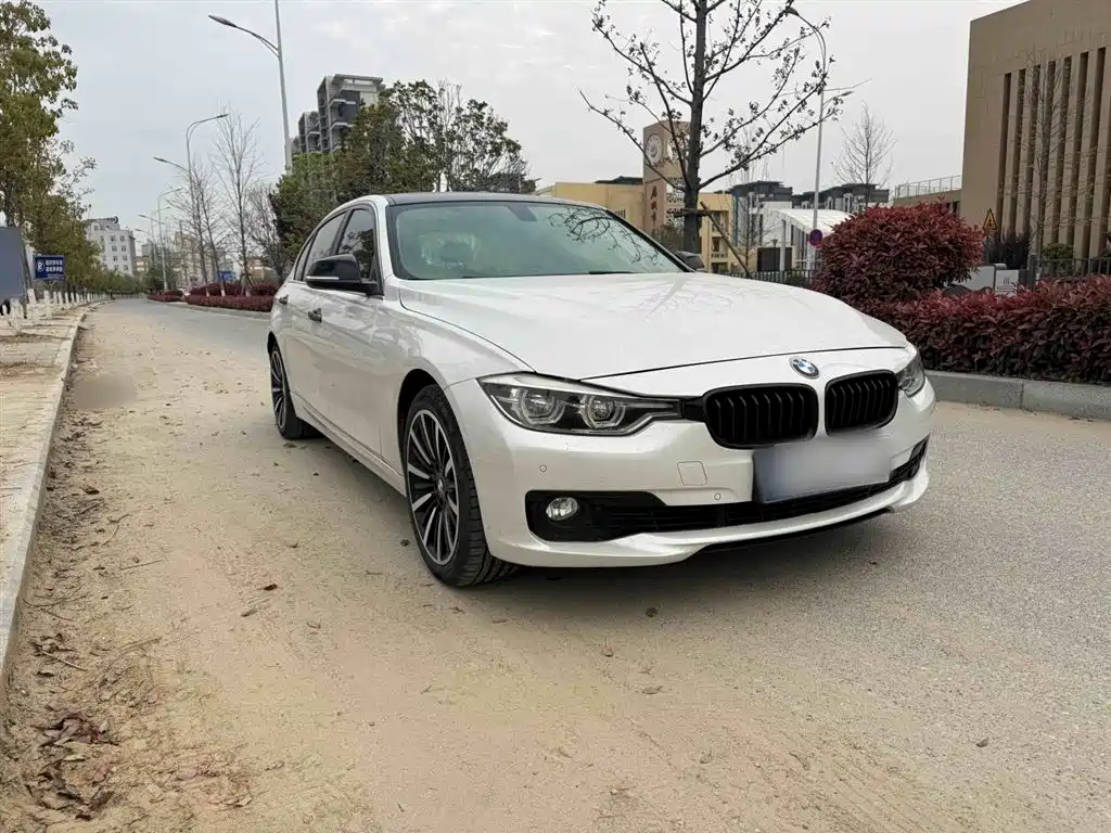 BMW 3 Series 2019 320Li Fashion Type фото 4