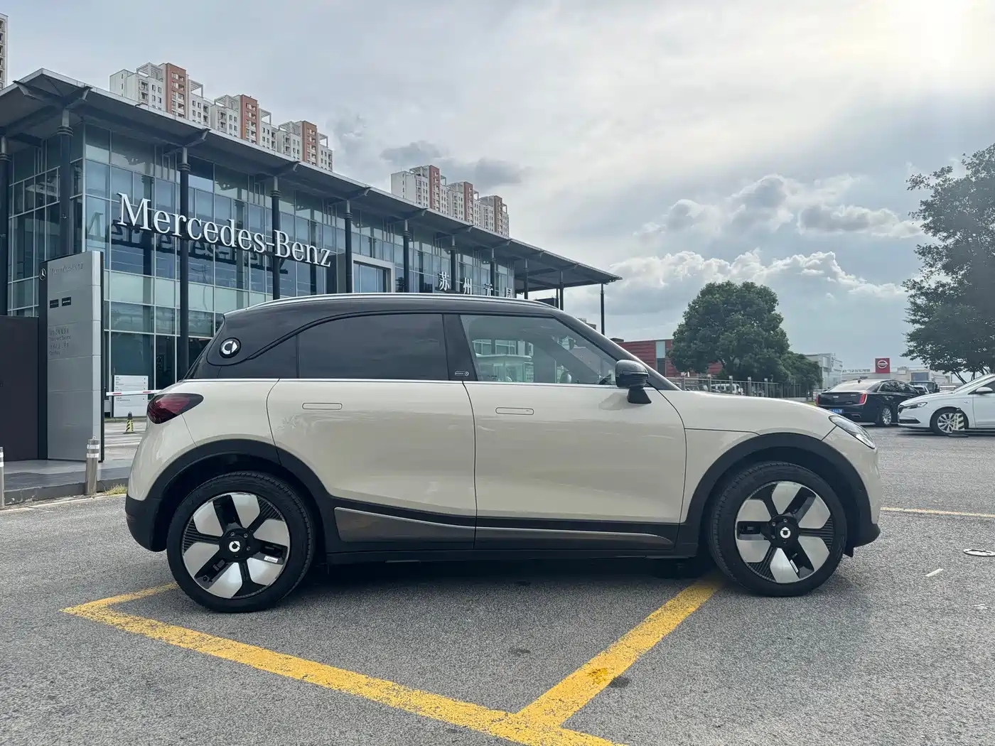2025 smart Elf #1