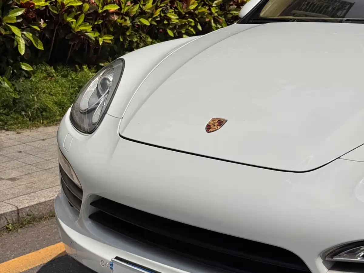 Porsche Cayenne 2014 Cayenne Platinum Edition 3.0T фото 4