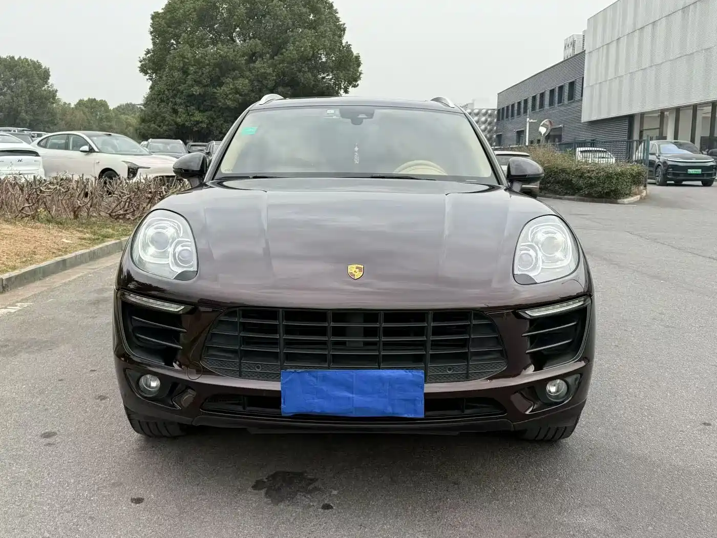 Porsche Macan 2017 Macan 2.0T фото 2