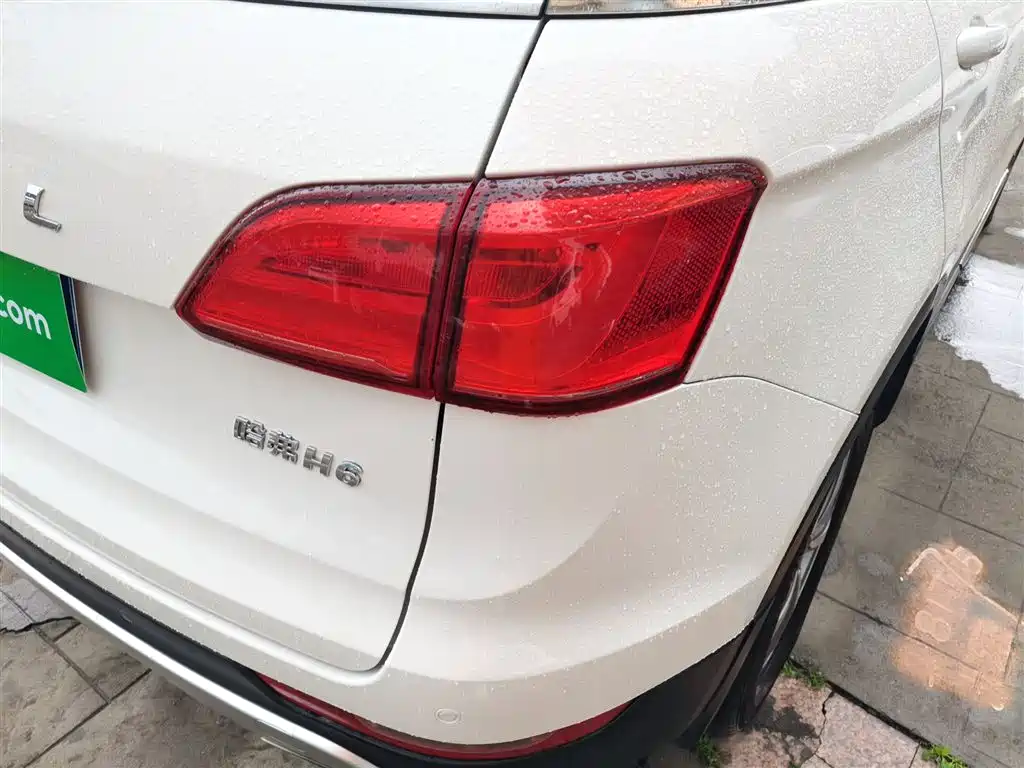 Haval H6 Coupe 2016 Blue Label 1.5T Automatic 2WD Urban фото 8