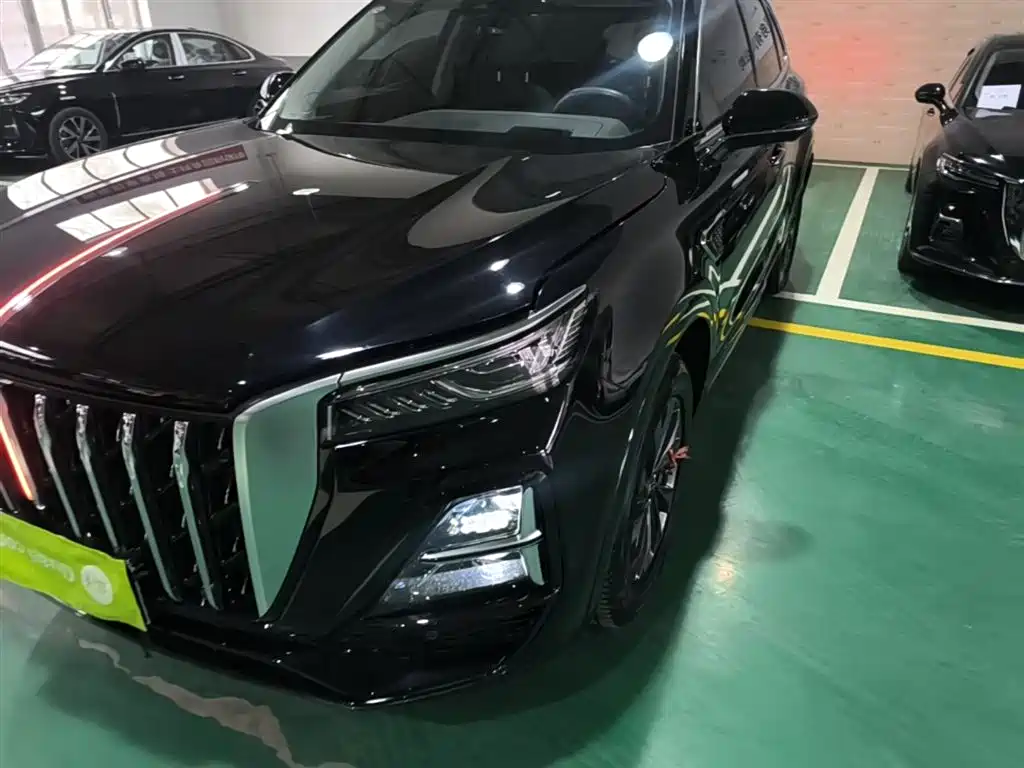 Hongqi HS5 2023 2.0T Flag Enjoy Pro Edition фото 24
