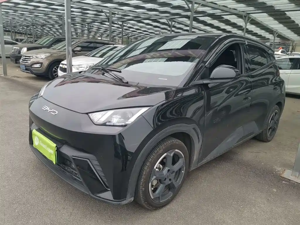 BYD Seagull 2023 Freedom Edition