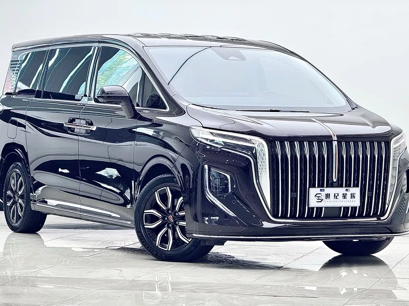 Hongqi HQ9 2023 2.0T Smart Connect Flagship фото 6