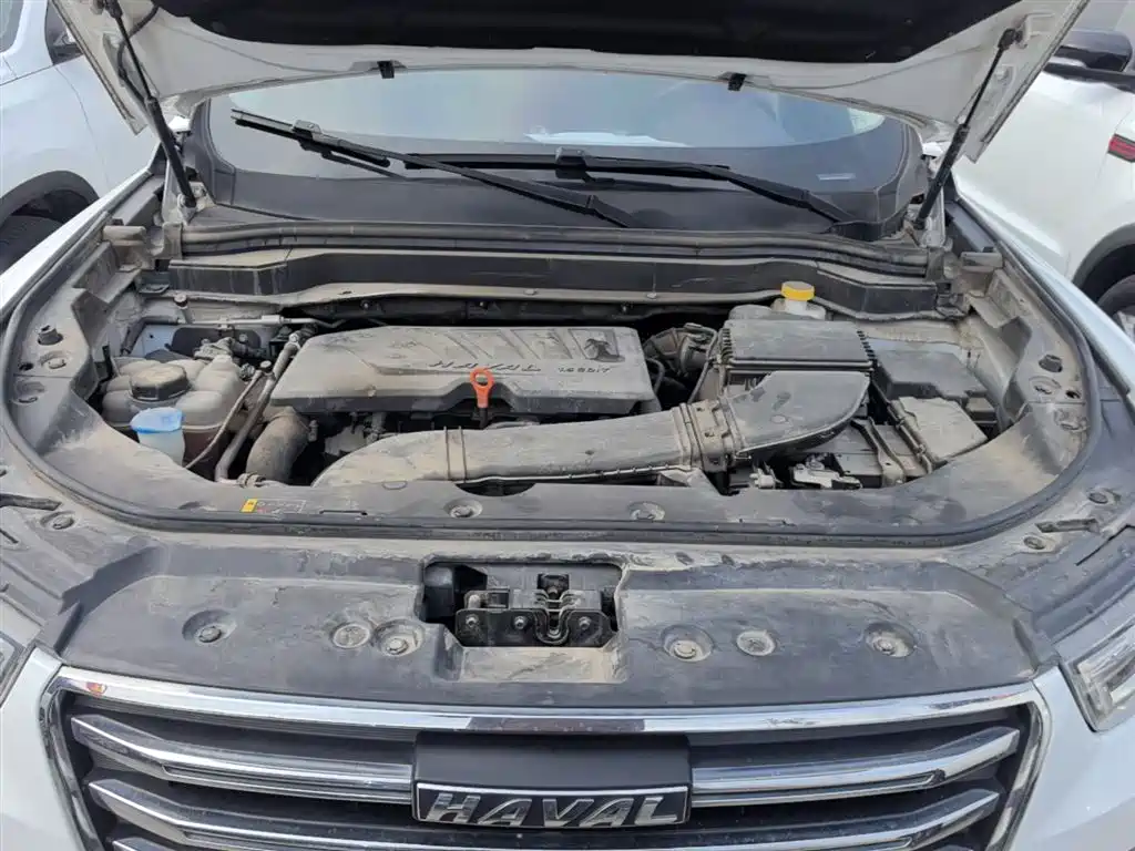 Haval H6 2020 1.5GDIT Automatic Platinum Champion Edition фото 20