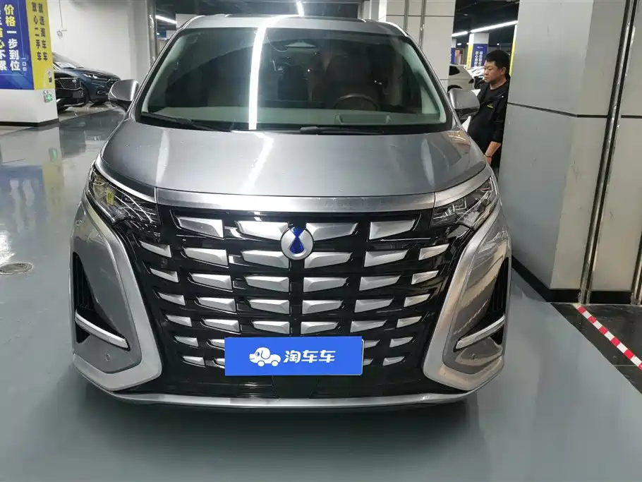 Denza D9 2022 DM-i 970 All-Wheel Drive Honor Edition фото 2