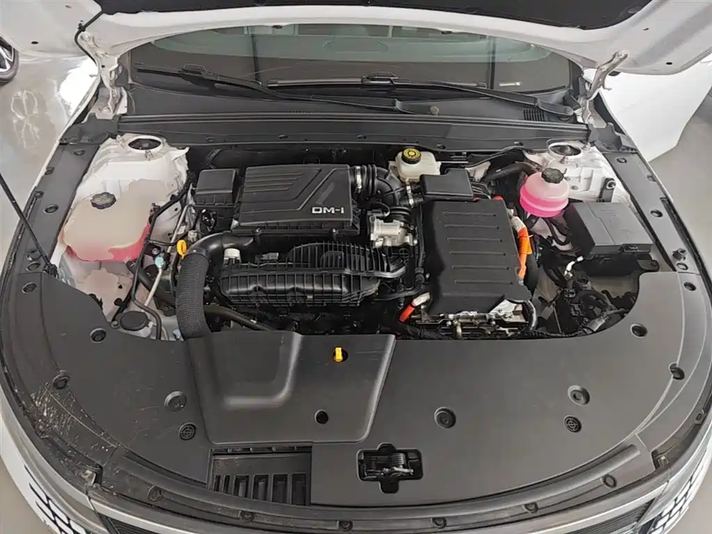 BYD Destroyer 05 2024 Glory Edition DM-i 55KM Luxury фото 20