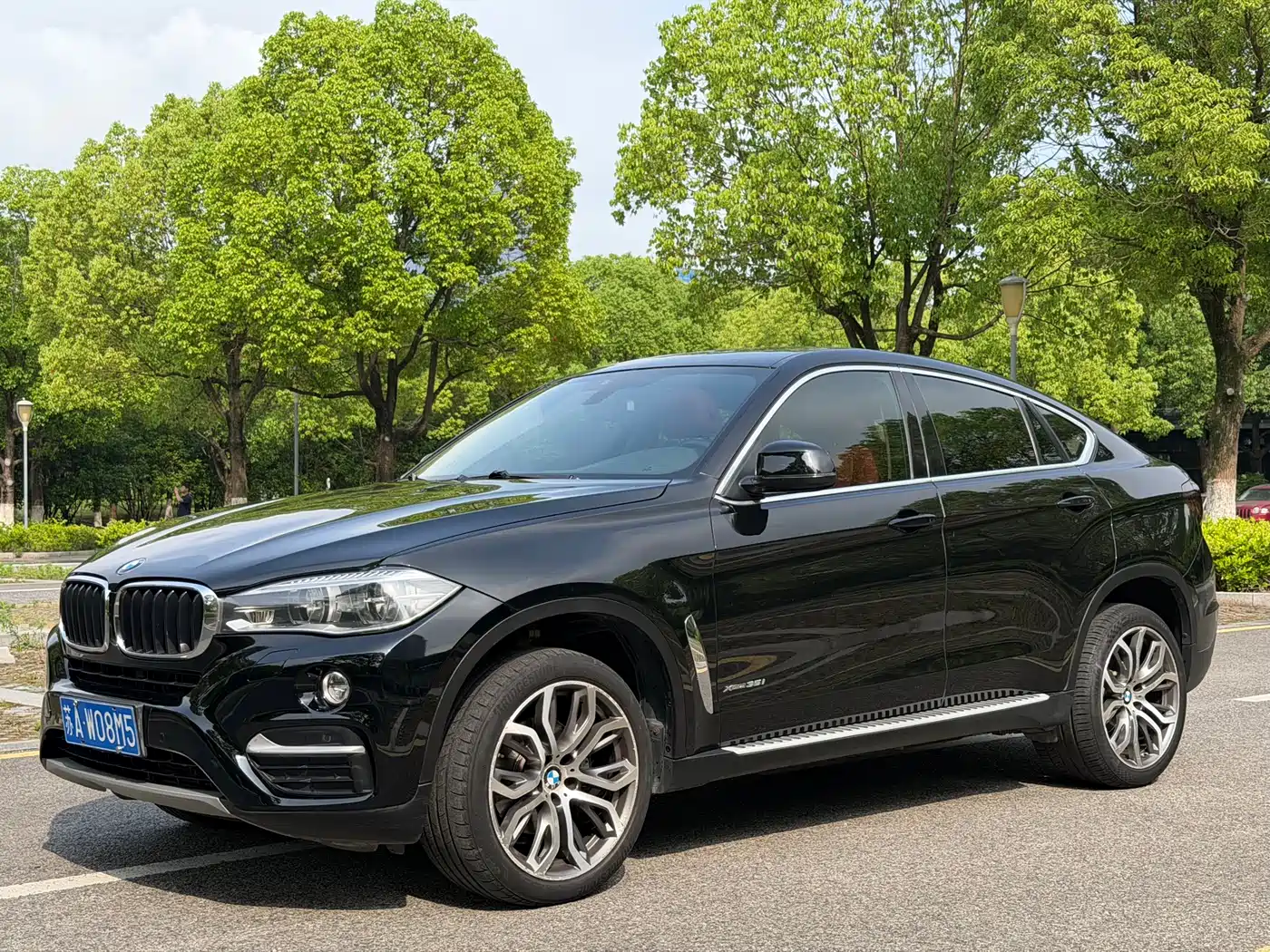 BMW X6 2015 xDrive35i Leading Type