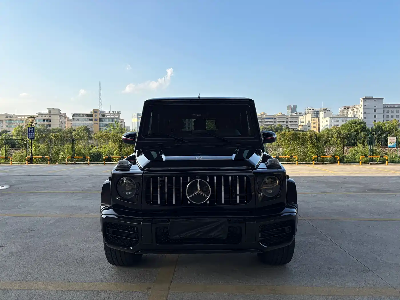 Mercedes-Benz G-Class 2017 Model G 350 d фото 3