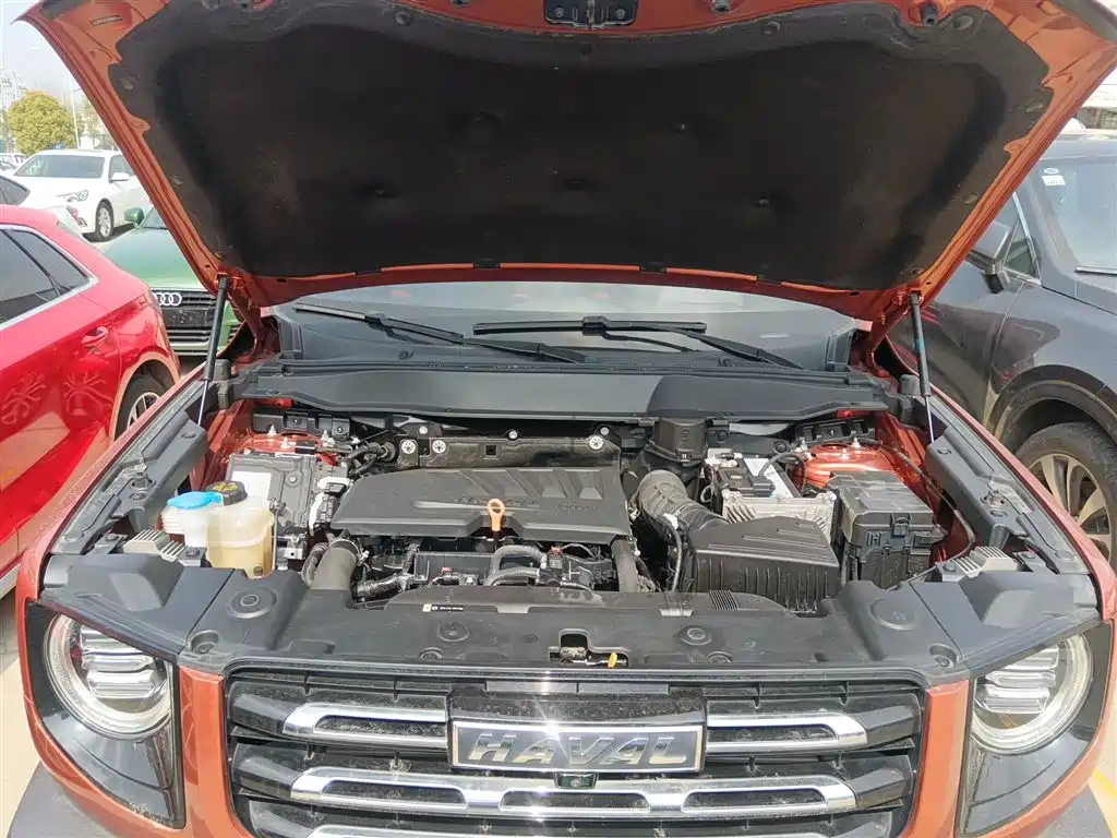 Haval Big Dog 2021 1.5T DCT 2WD Border Collie Edition фото 16