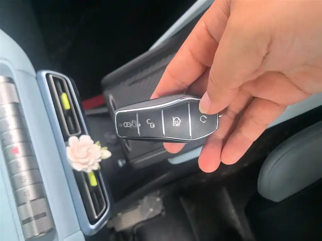 BYD Seagull 2024 Glory Edition 305km Freedom Edition фото 9