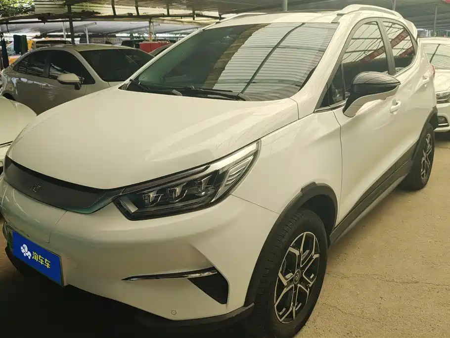 BYD Yuan Pro 2021 401KM Luxury Model