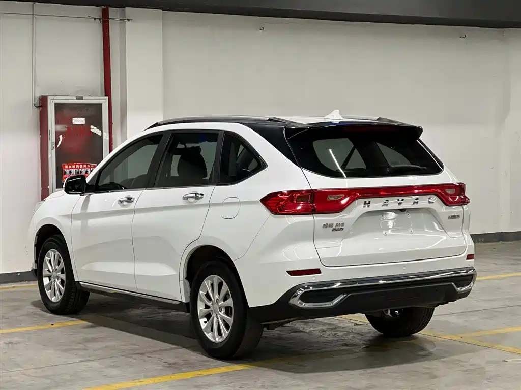 HAVAL M6