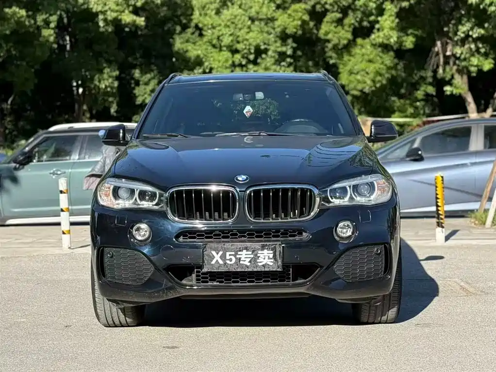 BMW X5 (Import) 2017 xDrive35i M Sport фото 2