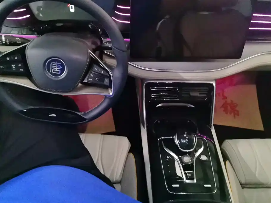 BYD Tang New Energy 2022 DM-p 215KM AWD Flagship фото 12