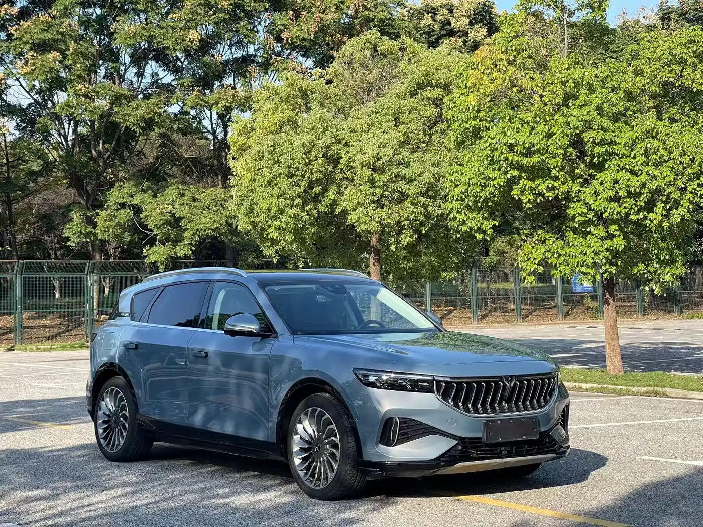 Voyah Auto VOYAH FREE 2021 AWD Standard Range Extender Exclusive Luxury Package фото 3