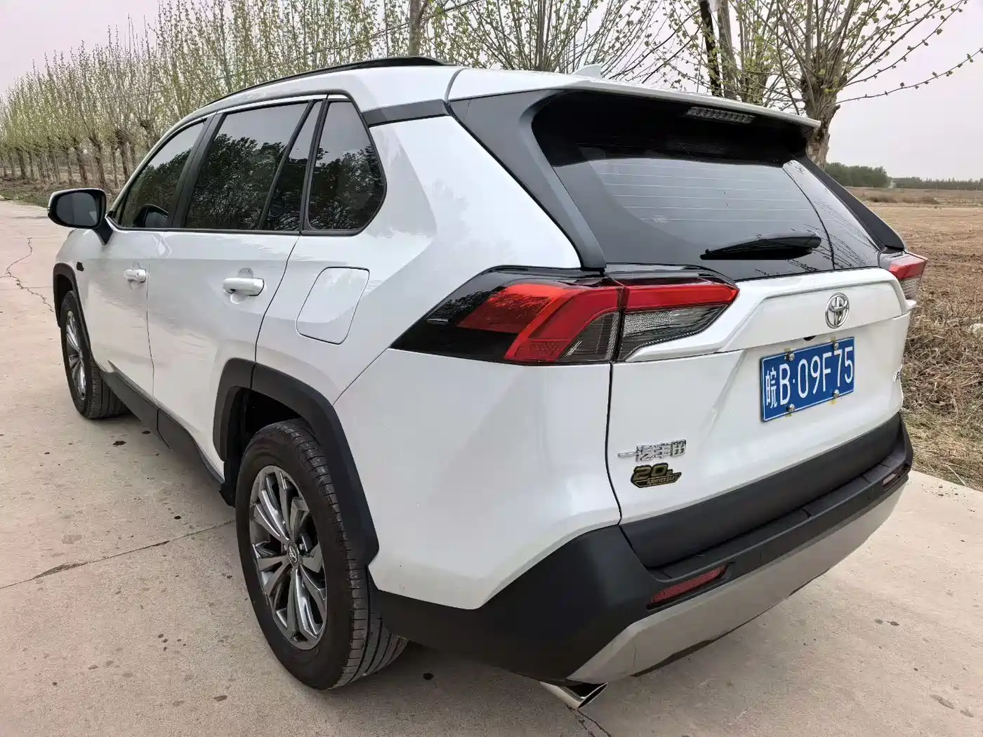 Toyota RAV4 Rongfang 2023 2.0L CVT 2WD 20th Anniversary Platinum Edition фото 6
