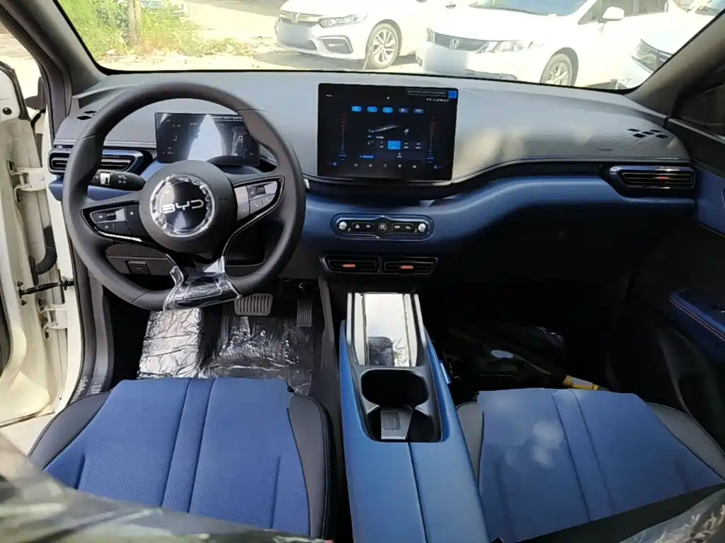 BYD Seagull 2026 2025 Smart Drive Edition 305km Vitality Version