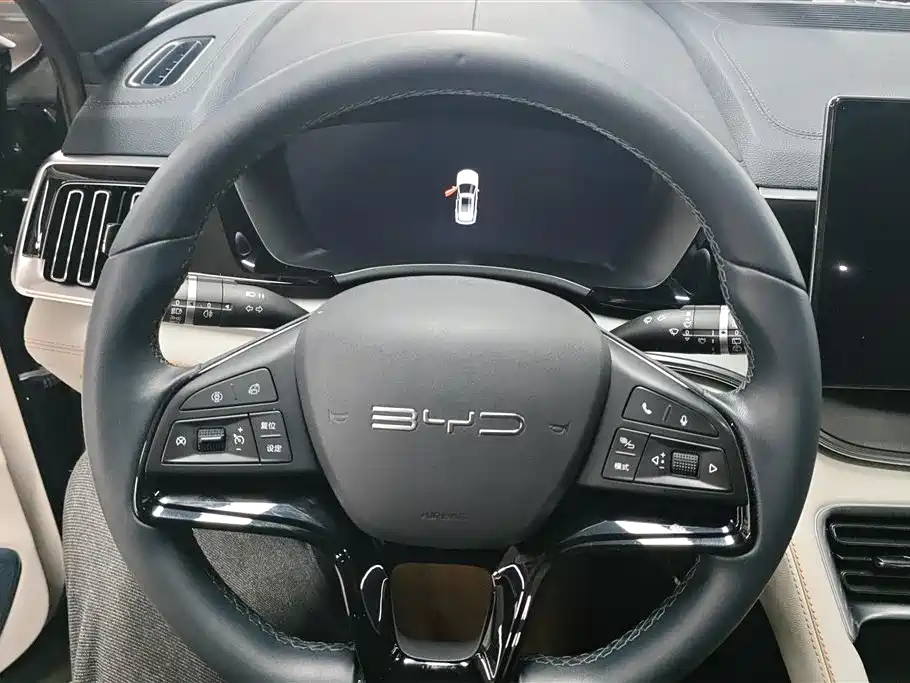 BYD SONGJIANG NEW ENERGY