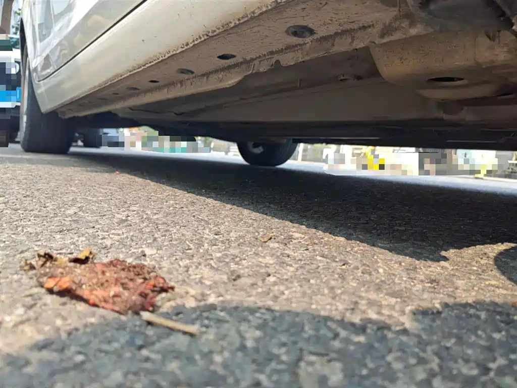 Chevrolet Malibu 2014 2.0L Automatic Comfort фото 14