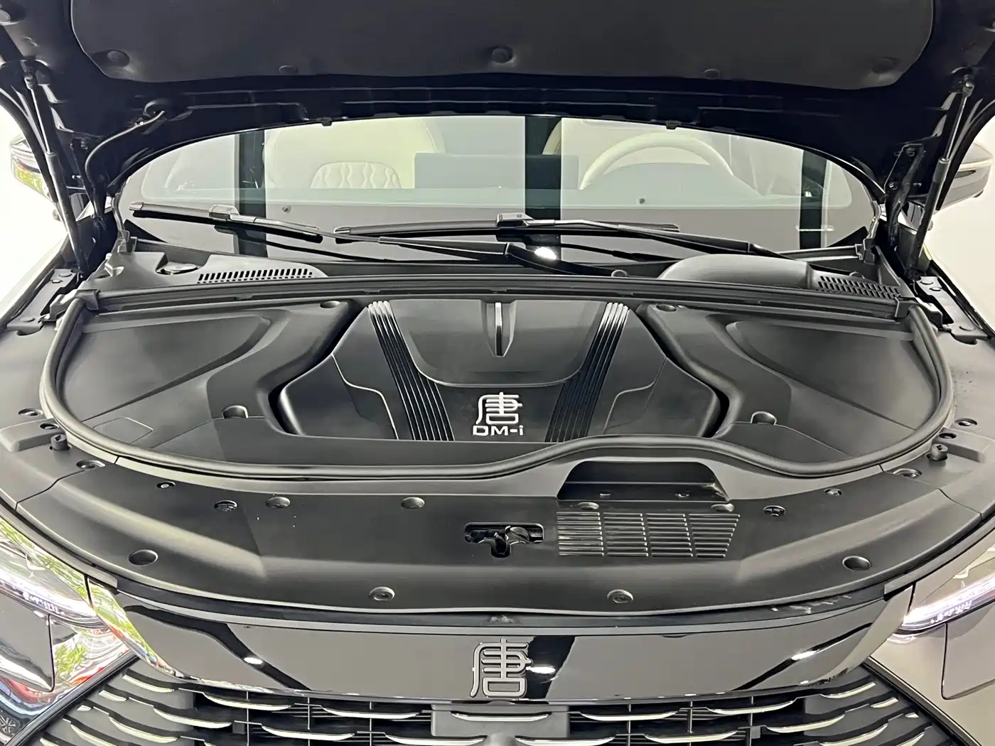 BYD Tang New Energy 2026 DM-i 115KM Premium фото 4