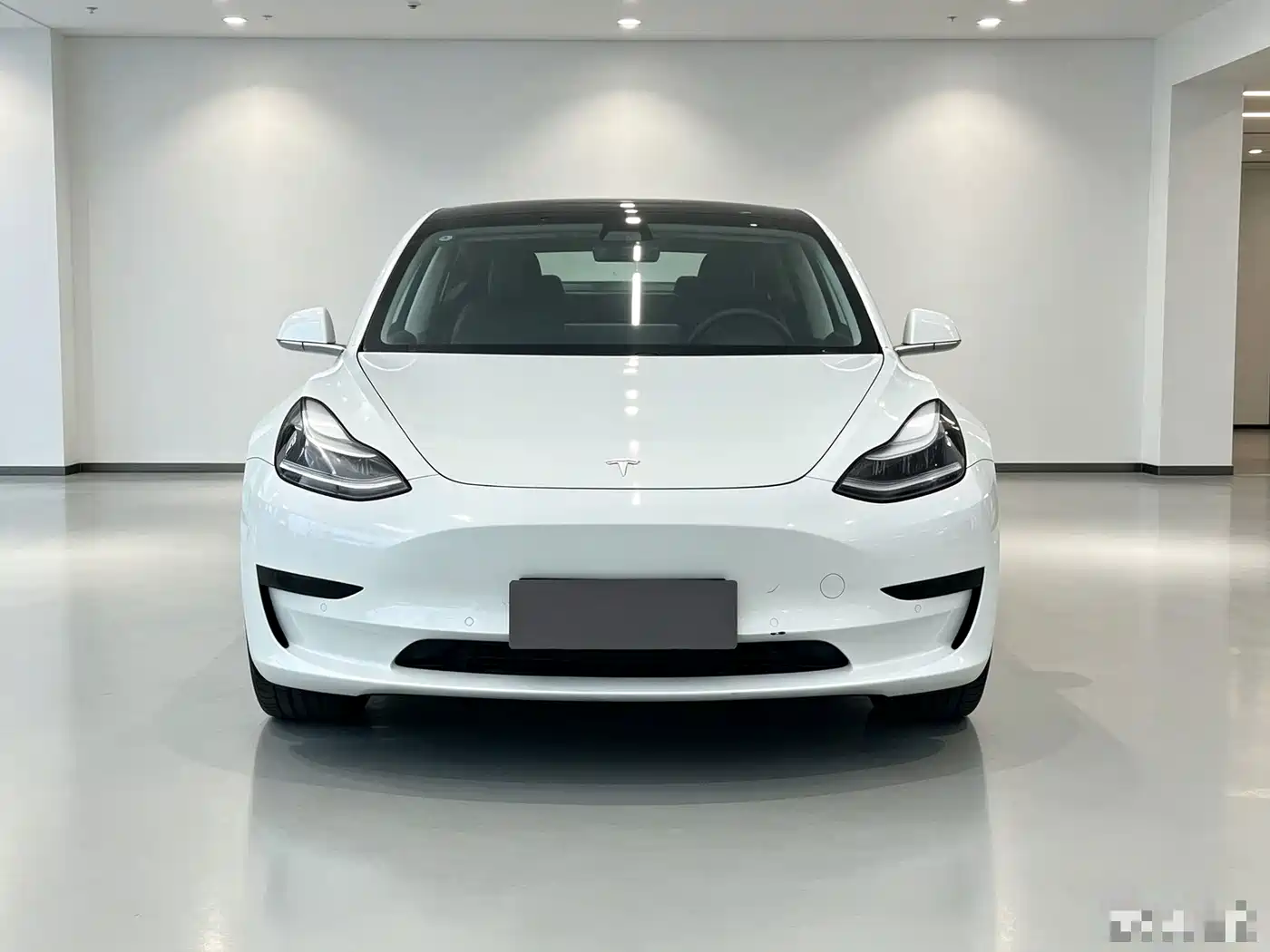 Tesla Model 3 (Import) 2019 2019 Standard Range RWD Upgraded Edition