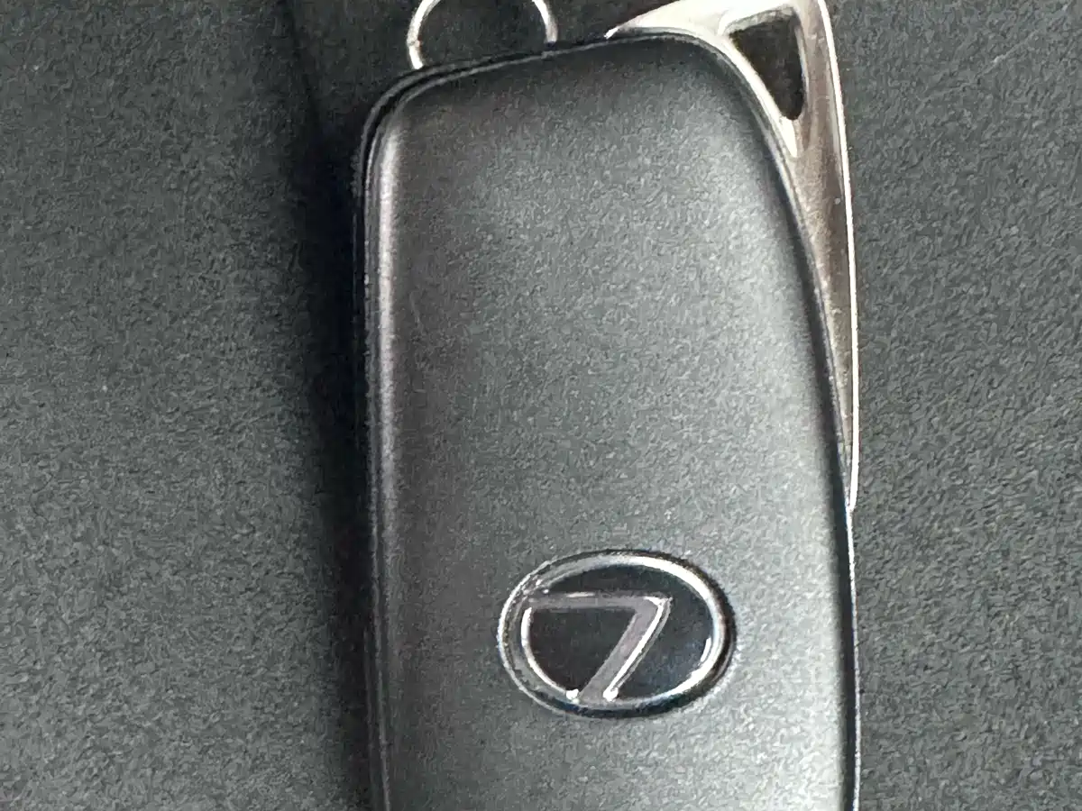 Lexus RX 2020 300 2WD Elite Edition China VI фото 16