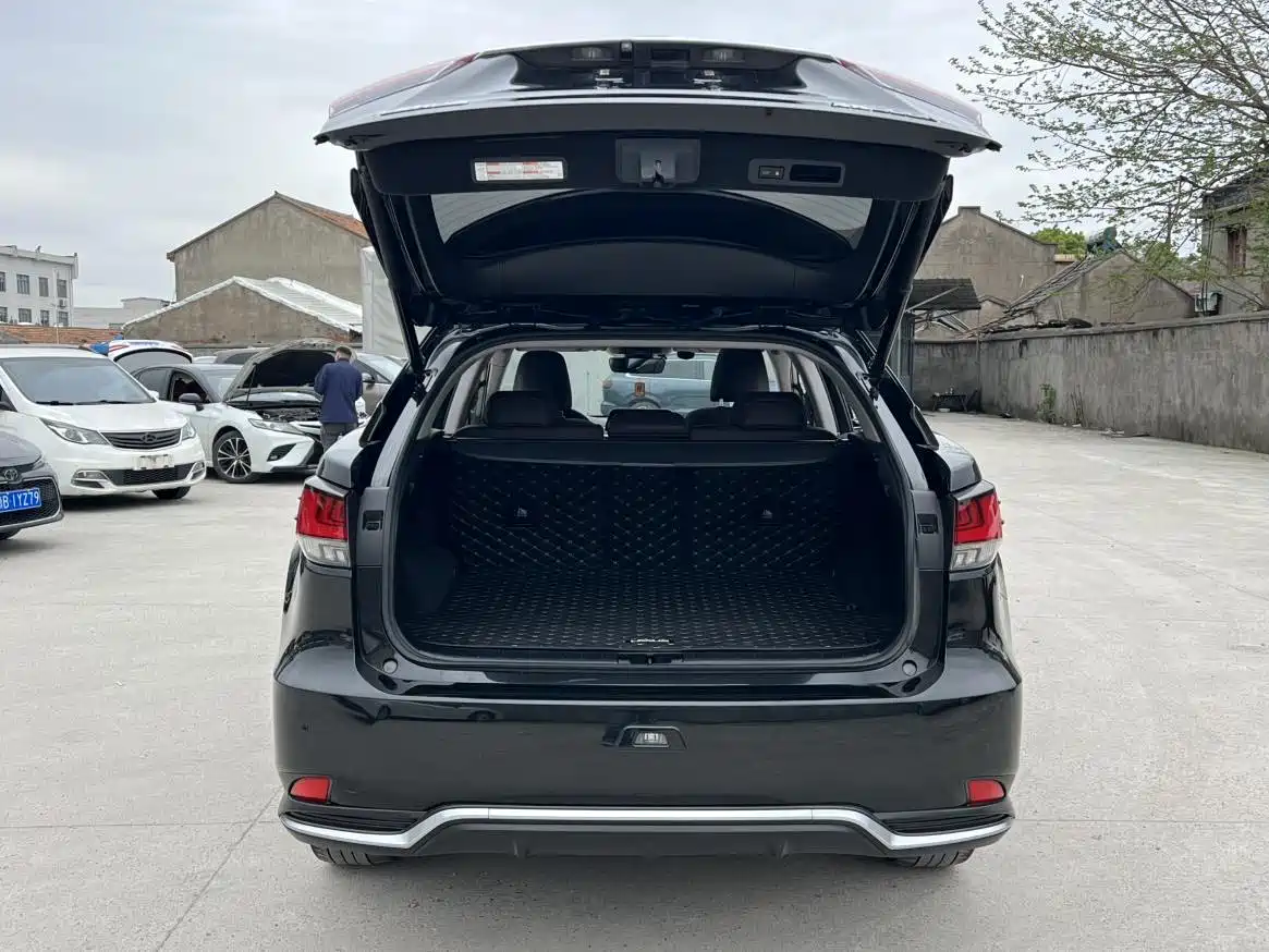 LEXUS RX