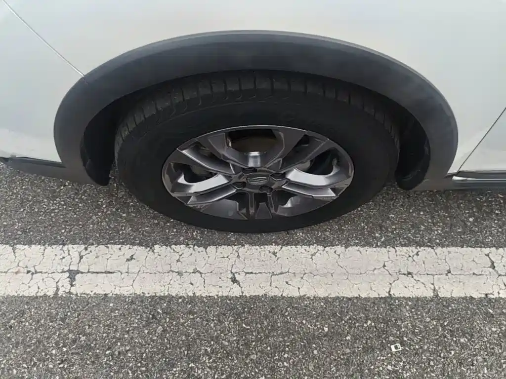 Фото 23 - Geely Vision X3