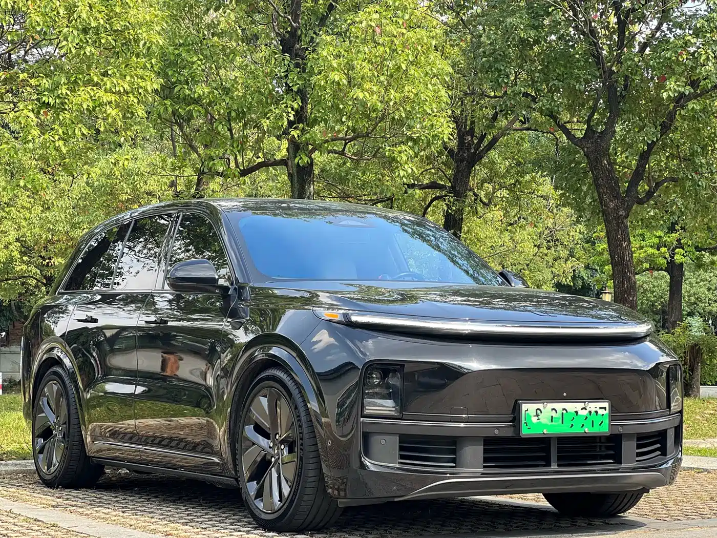 Li Auto Li L8 2023 Pro