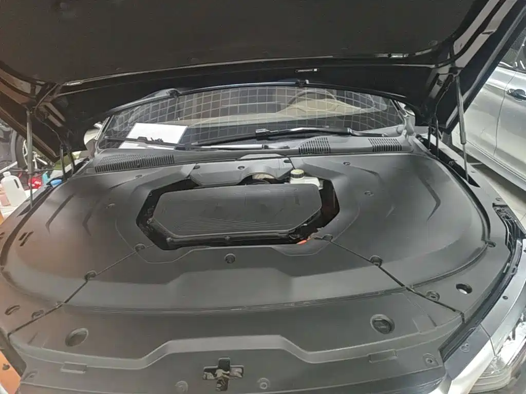 BYD Han 2020 2020 DM AWD Performance Luxury Edition