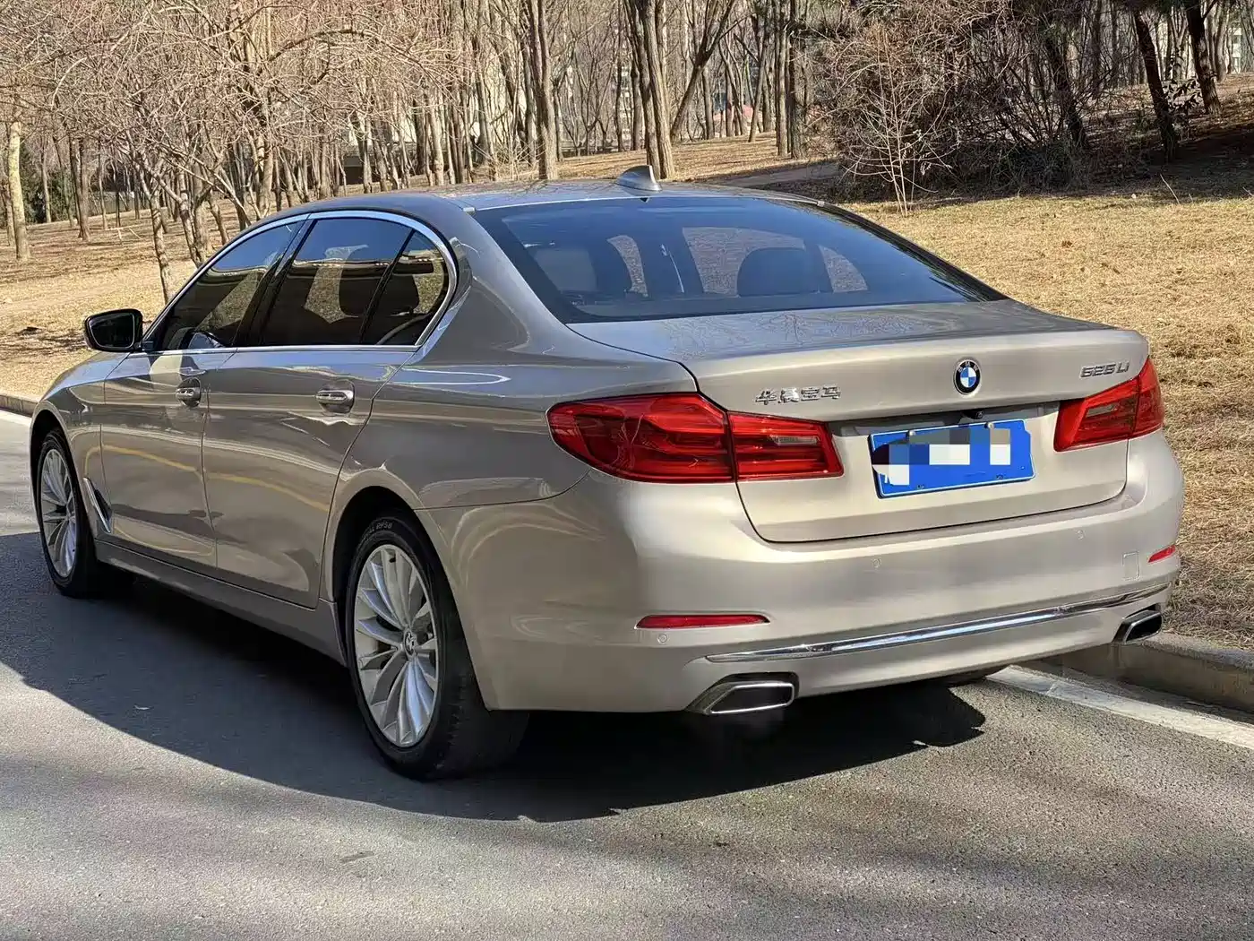 BMW 5 Series 2018 525Li Luxury Package фото 12