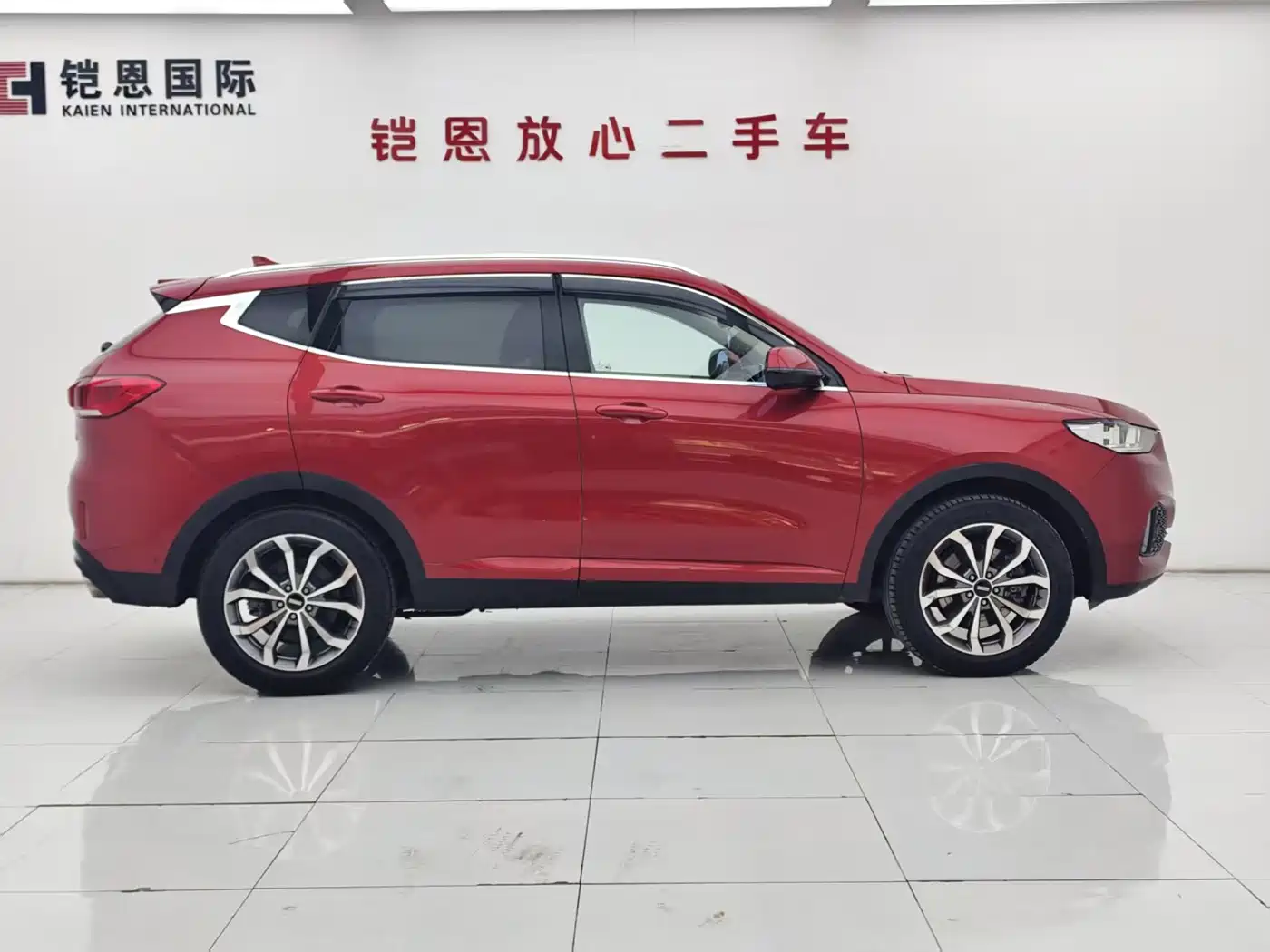 WEI PAI WEI BRAND VV6