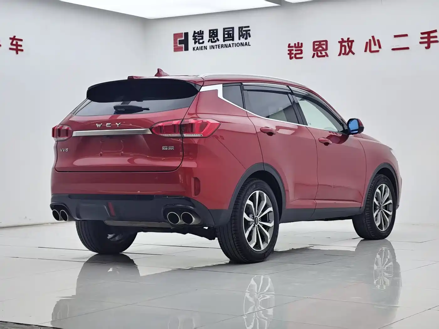 WEI PAI WEI BRAND VV6